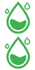 Ż