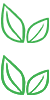 ѵ
